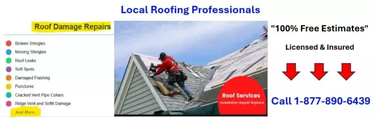 roof leak repair